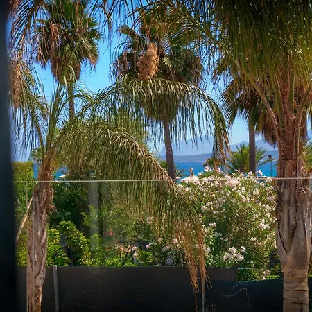 Palm Guest house *