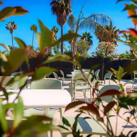 Palm Guest house 4*