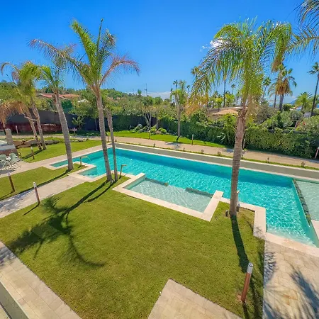 Palm 阿尔巴塔克斯