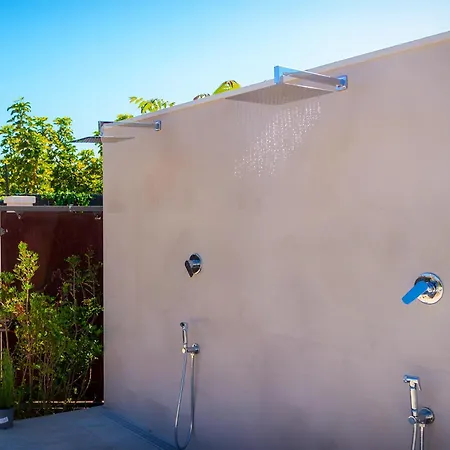 Palm Арбатакс